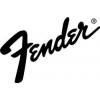 FENDER ACOUSTIC